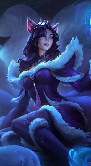 荷甲：九省十六城十八队，鹿特丹独占全国六分之一